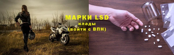 молекула духа Арсеньев