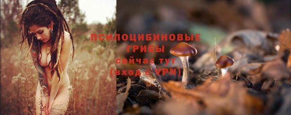 соль ск Алексин