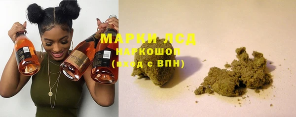 молекула духа Арсеньев