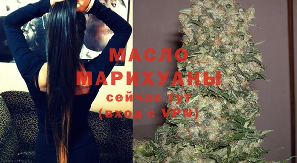 молекула духа Арсеньев