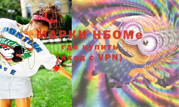 молекула духа Арсеньев